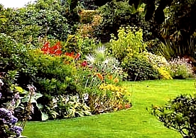 Jardin à l'anglaise.