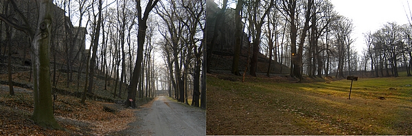 Château de Châtillon. Allée principale du parc. Château de Châtillon. Allée principale et prairie du parc. 